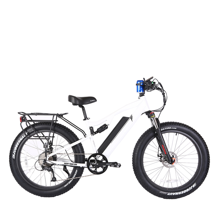 DOMANCA 2024 Electric Bike 7 Speed E bike with Rear Hub Motor and Max Speed of 30-50Km/h
