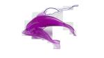 Dolphin Eliminate Odors Odm Scented Air Freshener