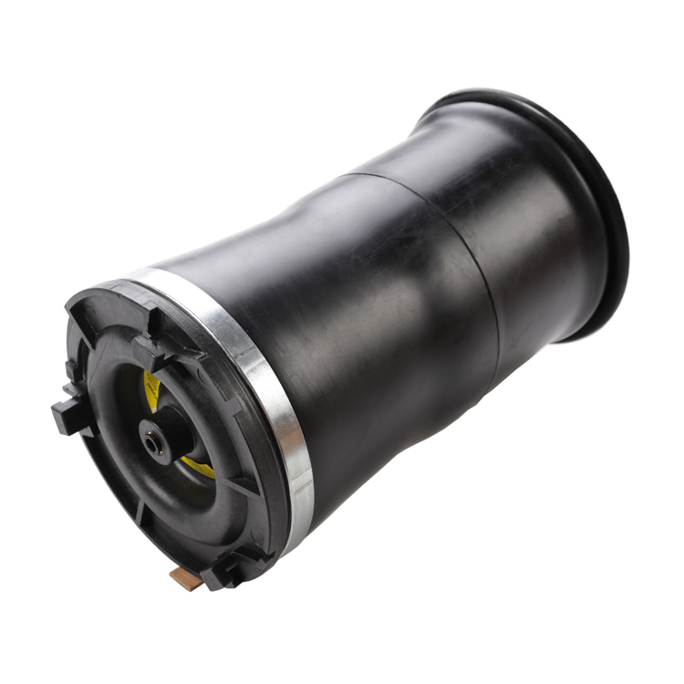 Auto Parts Hummer Air Suspension Air Spring For Hummer H2 Rear Left And Right OE 15938306