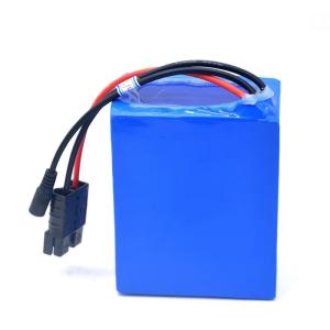 China Portable Custom Lithium Batteries Pack lFP 18650 48V 20ah For Electric Motorcycle on sale