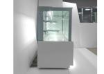 650W Double Layer Glass Cake Commercial Fridge Freezer