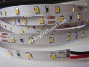Quality 2835 led strip 24v 60led/m wholesale