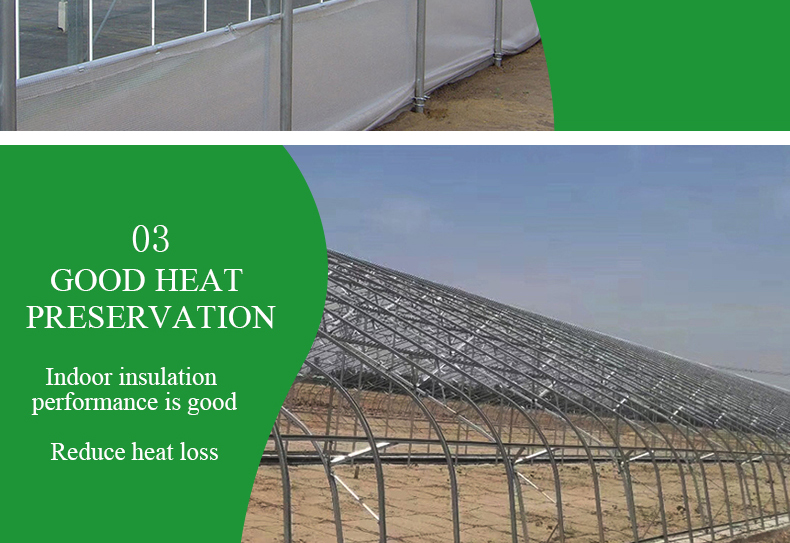 Commercial Film Covered Single Tunnel Greenhouse for Maximizing Agricultural Output