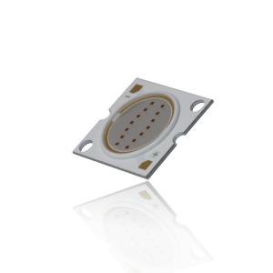 Quality CE RoHS R20mm LES LED COB Chips 23*25mm 30W LED Chip wholesale