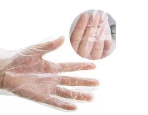 Quality Biodegradable Disposable Gloves , Disposable Plastic Gloves OEM / ODM Available wholesale