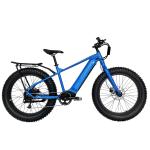 48V 17.5Ah 26*4.5 Fat Tire Snow Ebike Electric Mountain Bike 48V 1000W Ebike