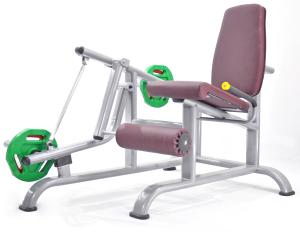 Quality Leg Extension wholesale