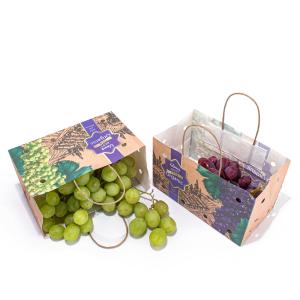 Quality 10Kg Uncoated Fruit Paper Bags 8 Color Flexo Printing OEM / ODM Available wholesale