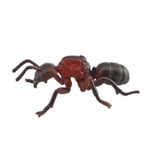 Quality Insect Figures Model Toy Formica Rufa Figurines Party Favors Decoration Set Toys wholesale