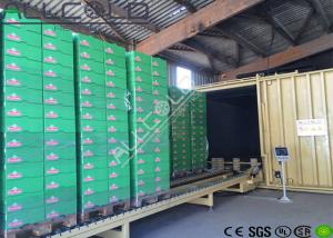 Quality 380V 50HZ 3P Vacuum Leafy Produce Cooling Equipment 12 Months Warranty wholesale