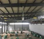 8Ft High Volume Low Speed Fans