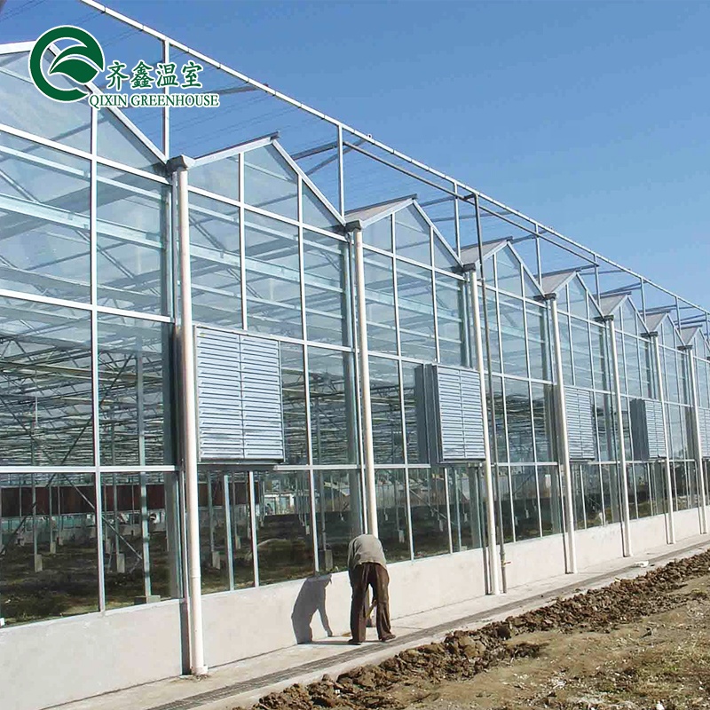 Glass Greenhouse Ventilation System with Tempered Glass or PC Sheet Top Covering