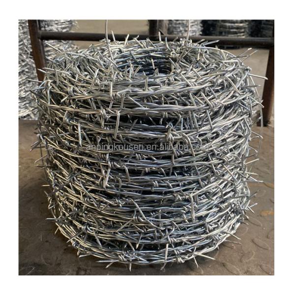 2.5mm Galvanized Iron Wire Protect Barbed Concertina Fence Razor Barbed Wire for