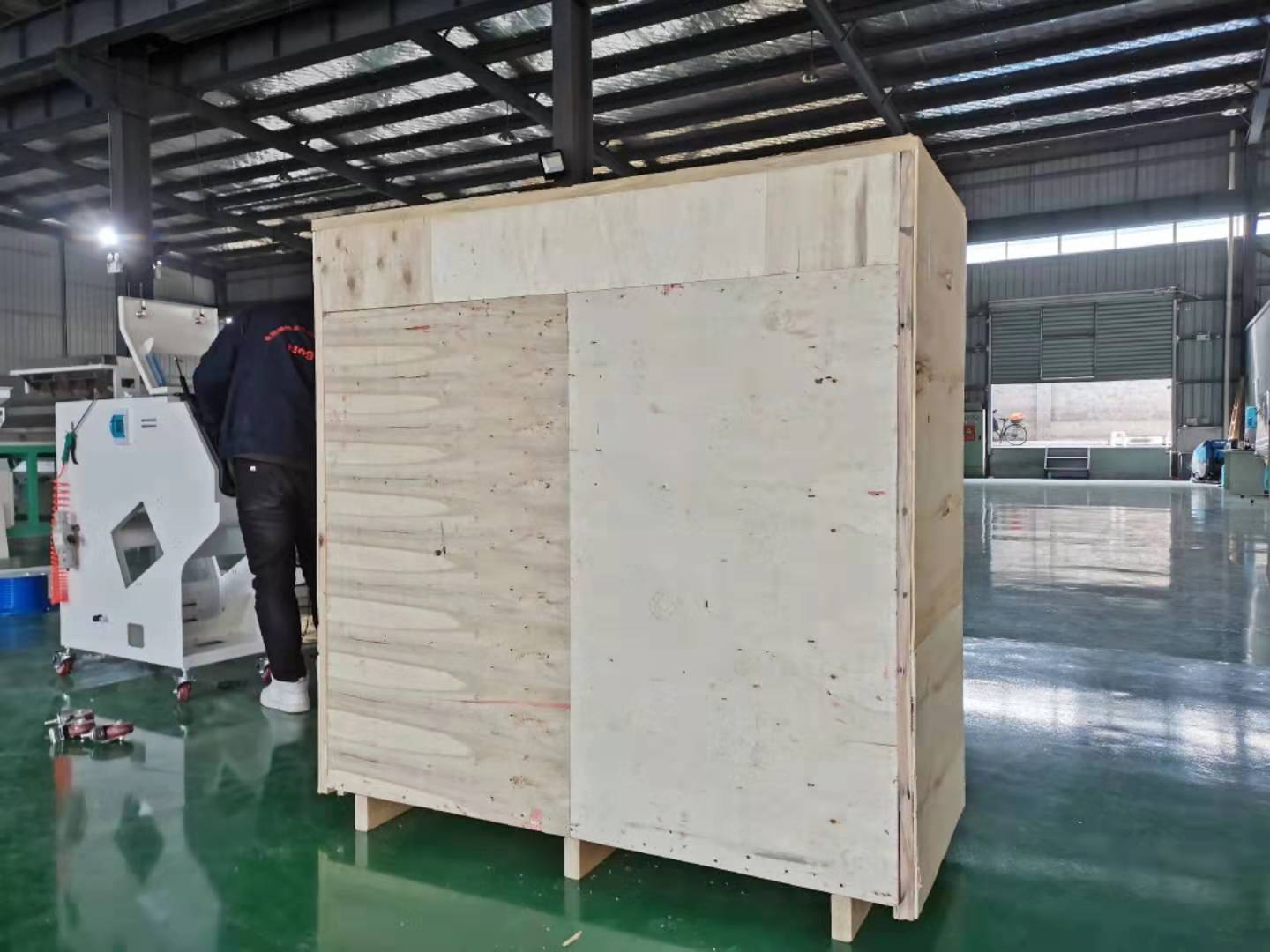 Mini Cashew Nut Sorting Machine For Cashew Nut Processing Industry