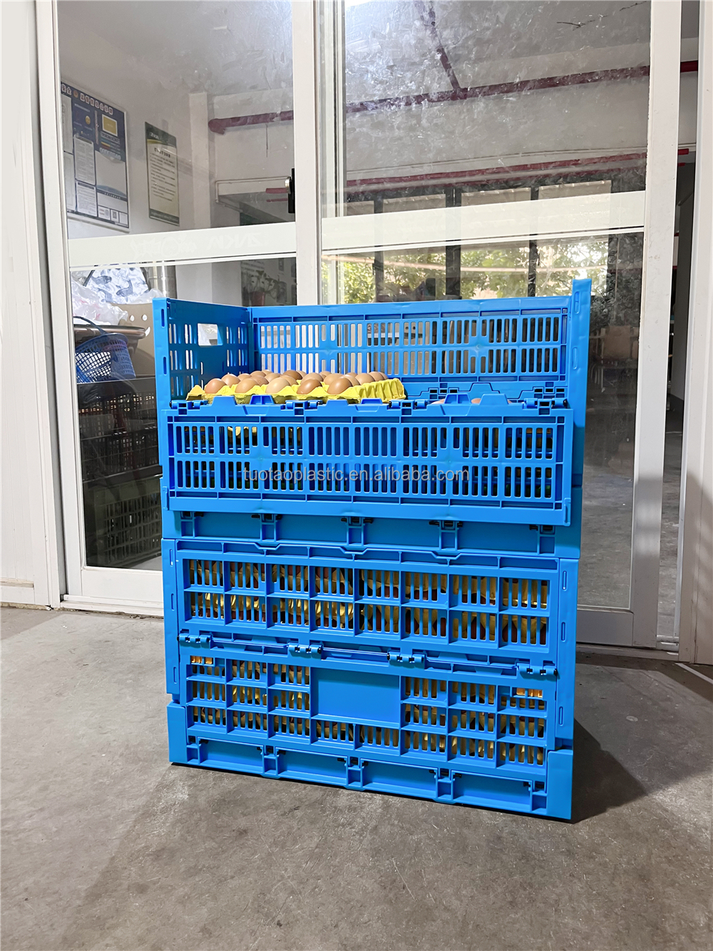 Foldable and Collapsible Egg Crate Meshy Box for Convenient Egg Transportation Solutions