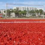 Budget-Friendly Semi-Prefabricated Athletic Rubber Running Track Rubber Track