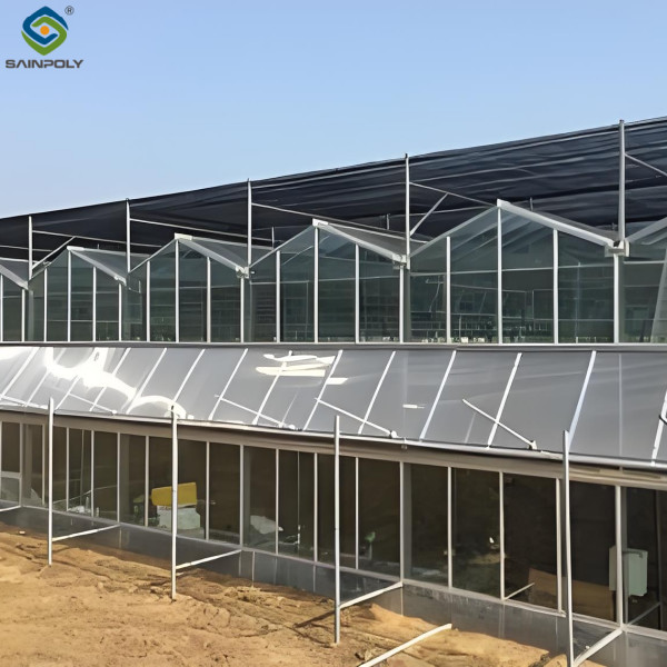 Anti Reflective Automatic Venlo Glass Greenhouse With Agricultural Farming Systems