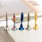 Stainless Steel Stud Earrings Black Gold Sliver Colorful Screws Unisex Punk Men