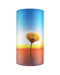 Quality P6 Rental LED Display Screen Flexible Outdoor Curved LED Screen For World Cup Billboard wholesale