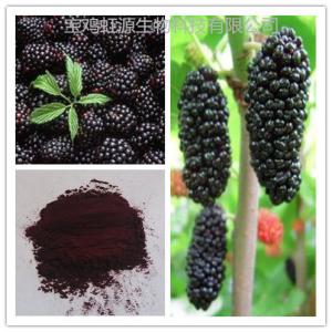 Quality High quality organic dried Mulberry Fruit Extract powder wholesale