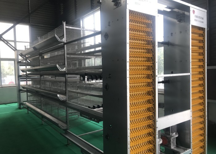 90 Birds Hot Dip Galvanized H Type Layer Chicken Cage