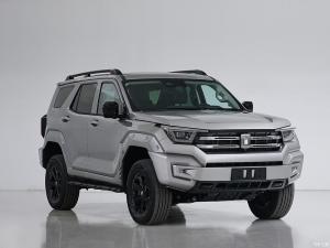 Quality Basic 2.0T Variant Luxury Tank SUV Car Tank 400 2023 Customized wholesale