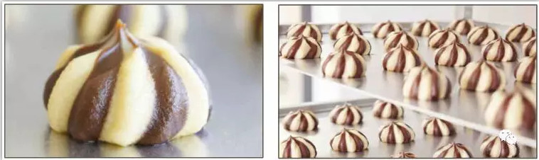 servo motor double cookie color cookie machine with tray stainless steel biscuit factory size 400mm