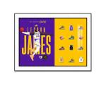 Jordan and LeBron James Basketball Star Wall Murals for Living Room and Bedroom