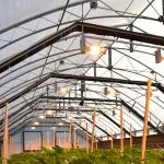 Light Dep Automated Blackout Greenhouse Black Curtain Material for Vegetable