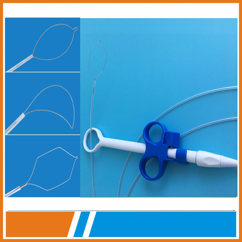 Cold snare polypectomy and hot snare polypectomy