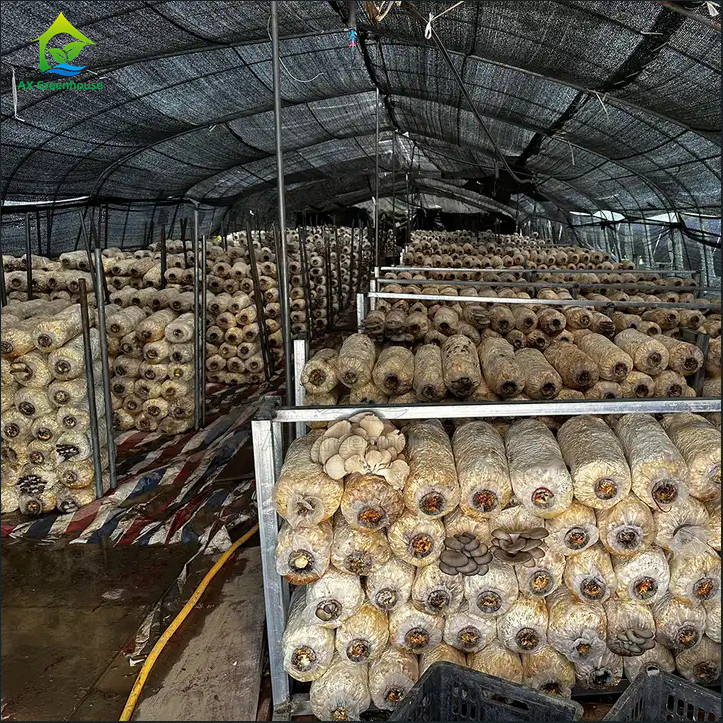 Durable Polycarbonate Construction for Extreme Weather Resistance in Light Deprivation Greenhouse