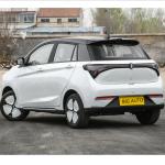 CLTC Range Up To 335 Km Low Consumption Pure Electric Car Joy 01 High Speed Car