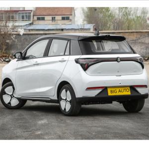 Quality Luxurious Interior High End Pure Electric Car Joy 01 Max. Speed 100 Km/h wholesale