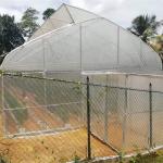 Tropical Saw Tooth Polythene Grow Tunnel Roof Ventilation 200 Micron PE Film