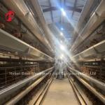 Reliable Chicken Battery Poultry Layer Cage 7 Tiers Iris