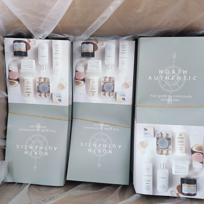 Folded Flyer Brochure Printing Services A3 A4 A5 Advertising CMYK Pantone