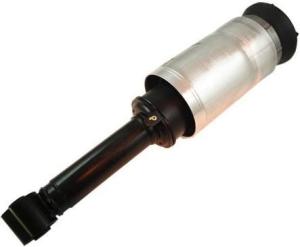 Quality RNB501620 Air Suspension Parts Air Suspension Strut wholesale