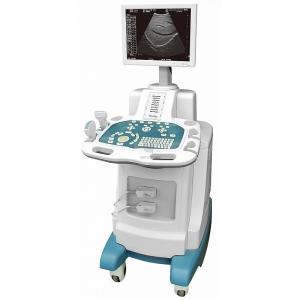 Quality Digital Trolley Ultrasonic Diagnosis Equioment wholesale