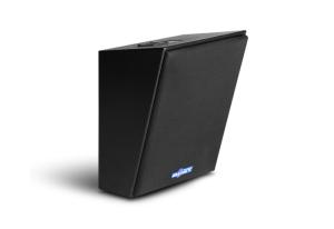 Quality 10 inch passive surround sound cinema speaker TR10 wholesale