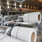 White Prepainted Ppgi Galvanized Steel Coil 0.4mm Color Coated PPGI G350