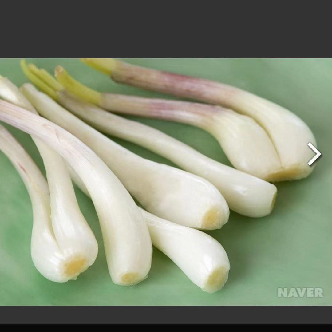 Pickled Seasoning Chinese Bulbous Onion Rakkyo Storage NORMAL CONDITIONAL SPICY Flavor