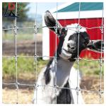 Grassland Weave Iron Wire Mesh Field Fence For Cattle Metal Net