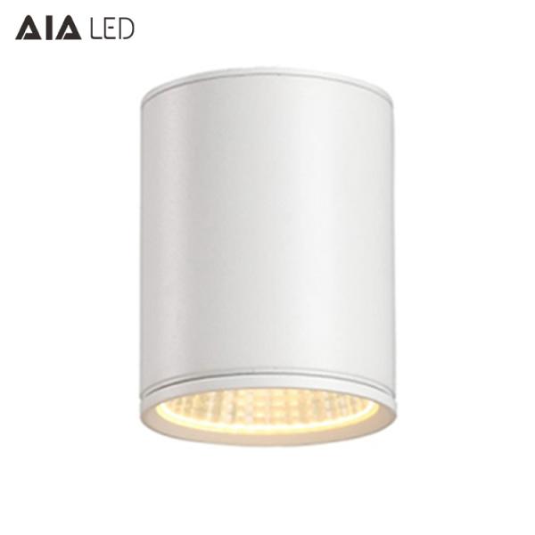 IP65 waterproof surface mounted DALI downlight 70W 0-10V dimmable exterior led