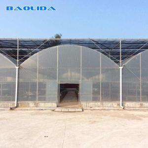 Quality Clear Multi Span Greenhouse Hot Dip Galvanized Pipe Size Customized wholesale