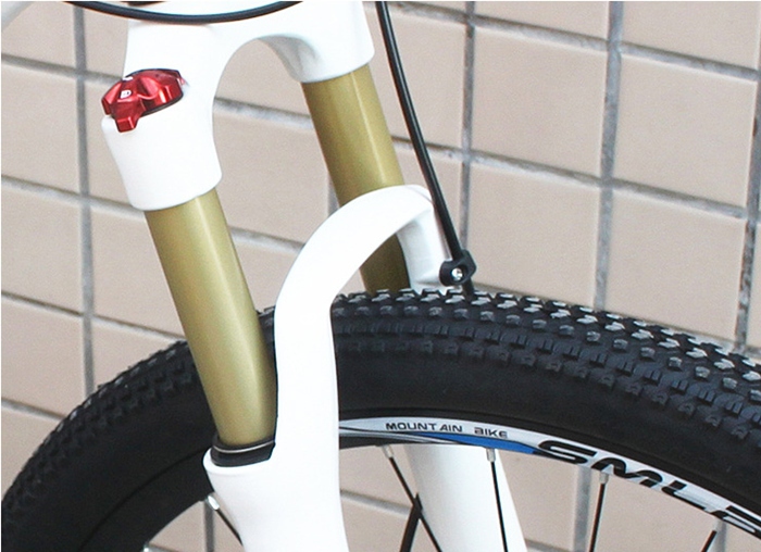 Quality promotional light weight mountain bicycle for sports man