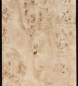 Quality Mappa/Poplar Burl Veneer wholesale