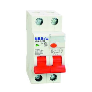 Quality IEC61009 32 Amp Standard Rcbo Residual Current Circuit Breaker wholesale