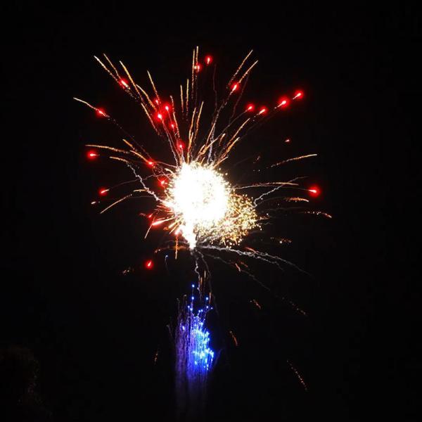 Hunan Liuyang Mandarin Fireworks 300 Shots Paper Tube New Year Celebration 1.4