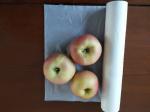 100 Biodegradable Plastic Bags , Biodegradable Resealable Plastic Bags 35 X 50