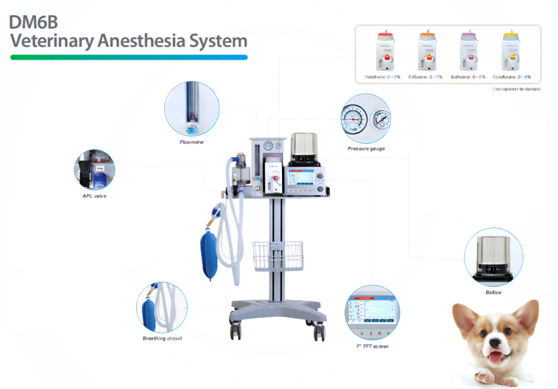 DM6B Veterinary Anesthesia Ventilator System AC 100-240V 7 Inch Color LCD Display